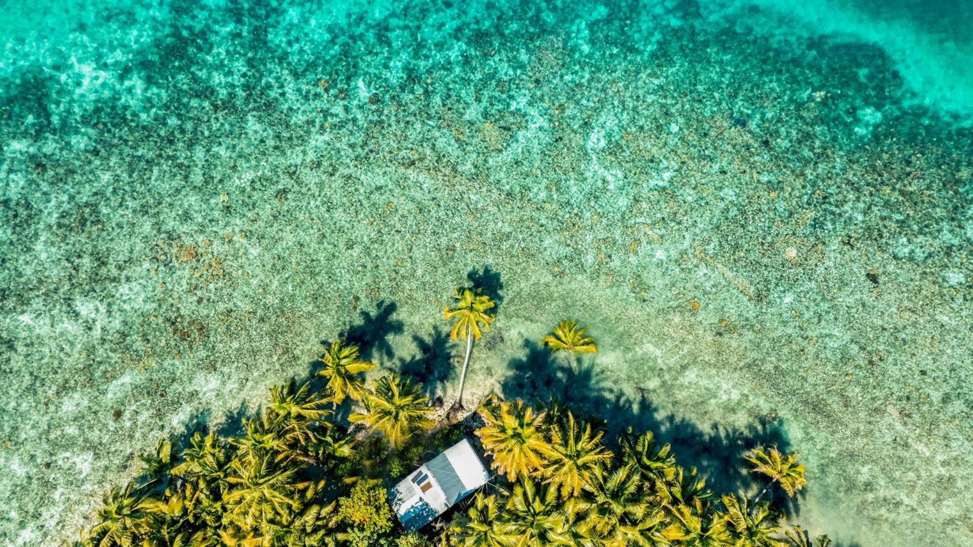 Placencia 龟背旅馆酒店 外观 照片