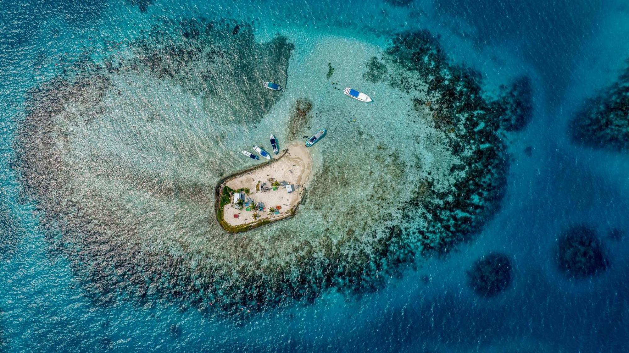 Placencia 龟背旅馆酒店 外观 照片