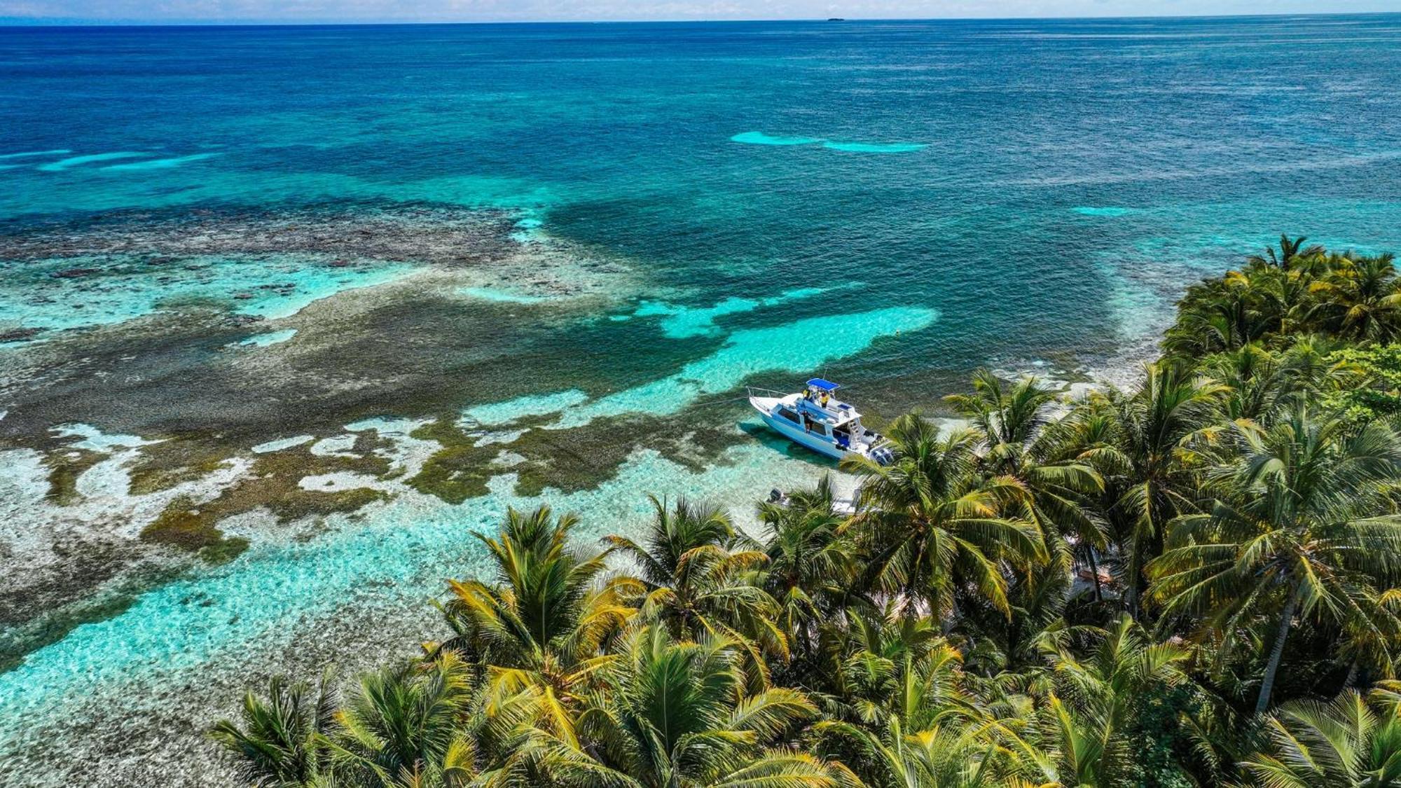 Placencia 龟背旅馆酒店 外观 照片