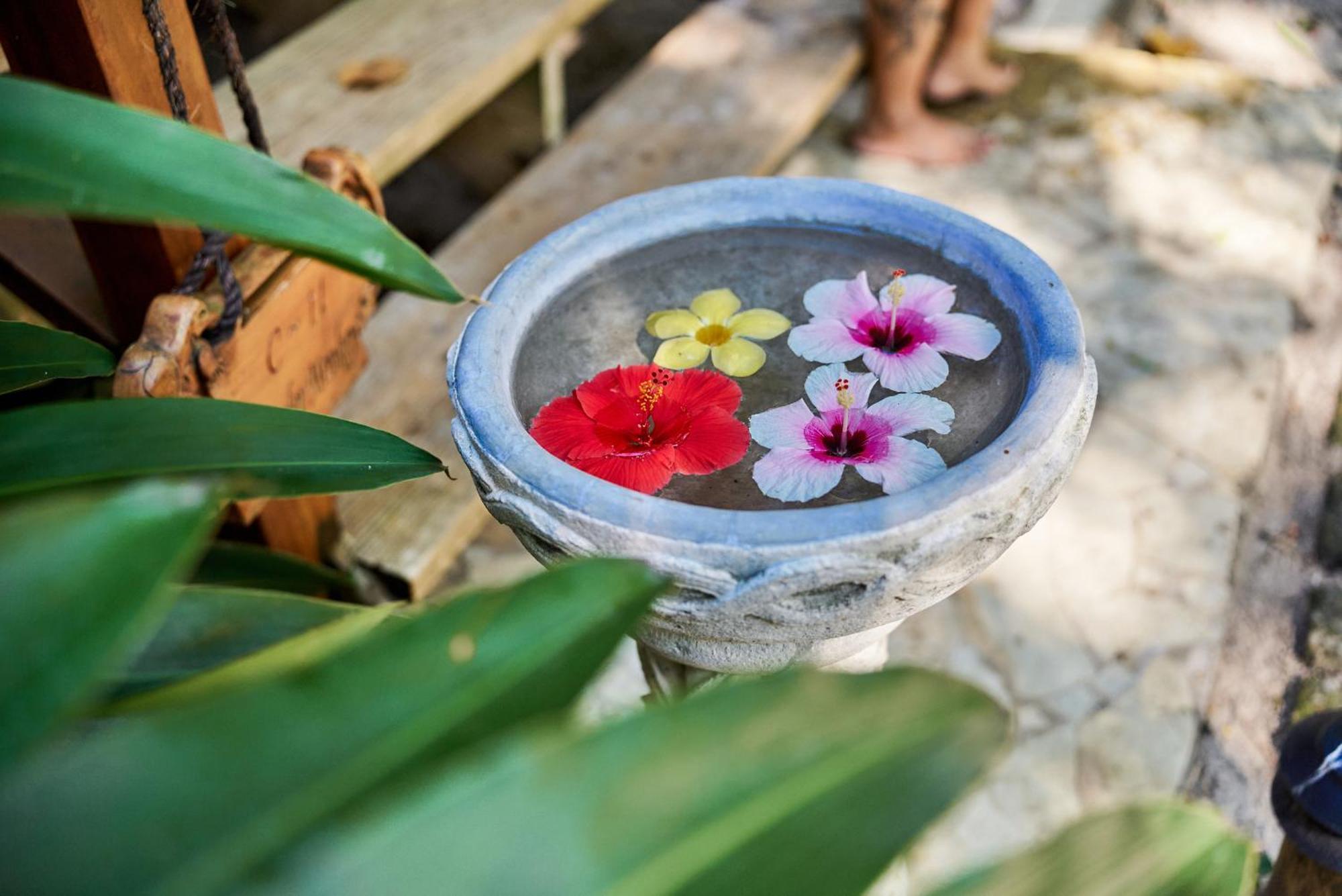 Placencia 龟背旅馆酒店 外观 照片